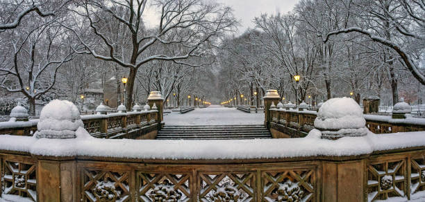 istock Central Park the Mall, during snow storm 2191678786