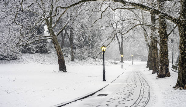 istock Central Park in winter , during snow storm 2191678843
