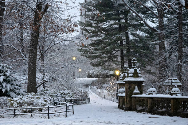 istock Central Park in winter , during snow storm 2191678912