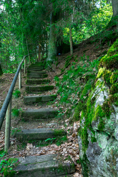 Stairs with rocks in the bavarian forest