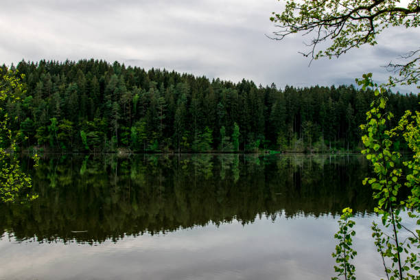 Vaide Pond near Kolka in the Kurzeme region of Latvia