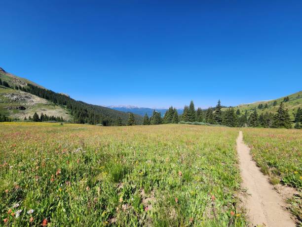 istock Aspen Colorado Hiking Trails 2191679770