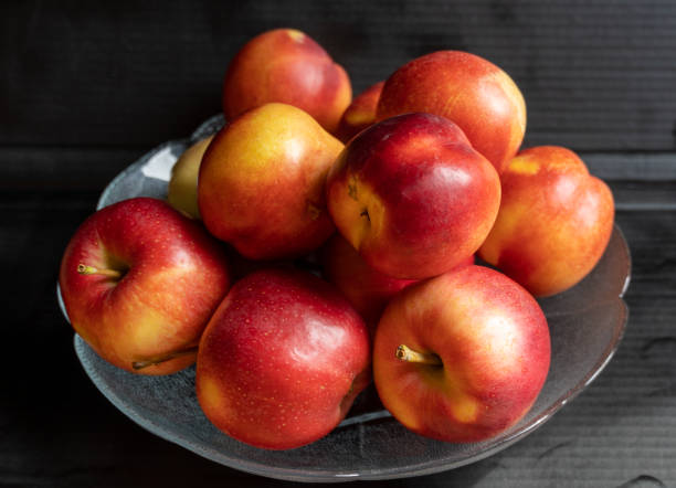 istock Fruits, vegetables, plants, flowers and summer 2191680793