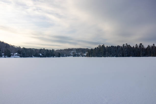 This image showcases a serene, frozen lake surrounded by a forested shoreline under a cloud-filled sky. The tranquil winter landscape conveys a sense of peace and natural beauty.