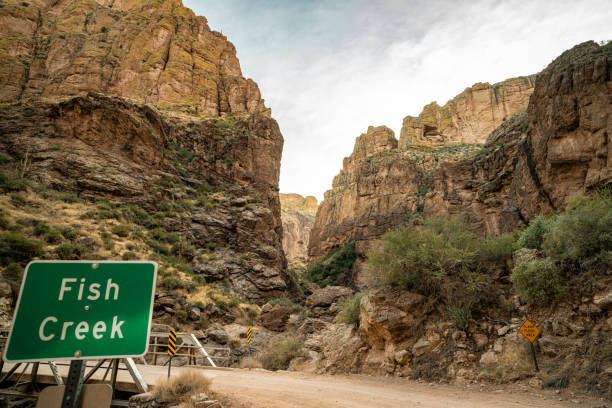 After recently reopening, having been closed for years, I decided to make the trip from Apache Junction to Roosevelt Lake. It was just as stunning as ever.