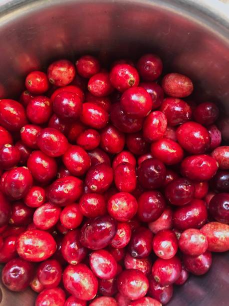 istock Cranberries in a Stainless Steel Pot 2191682849