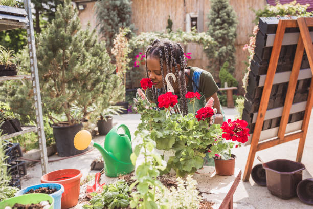 istock Joyful Gardener Tending Vibrant Flowers in Sunny Backyard 2191685272