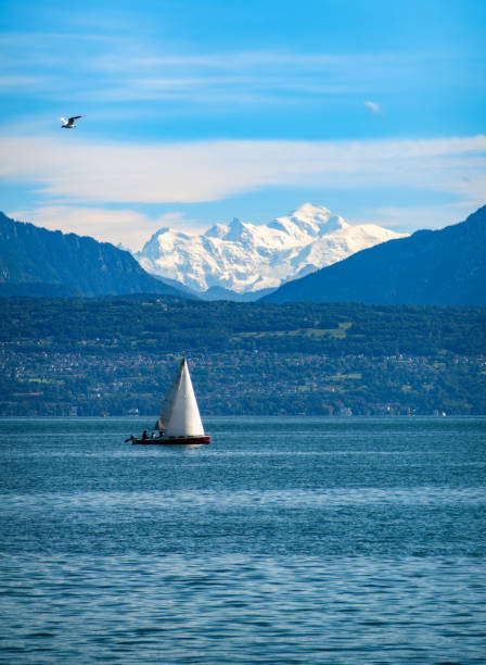 Sailboat on empty lake on a morning with no wind, Mecklenburg-Vorpommern, Müritz Nationalpark, Mecklenburg-Vorpommern, Germany