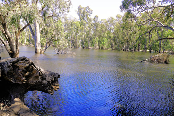 istock Echuca, Northern Country, Victoria, Australia 2191689842