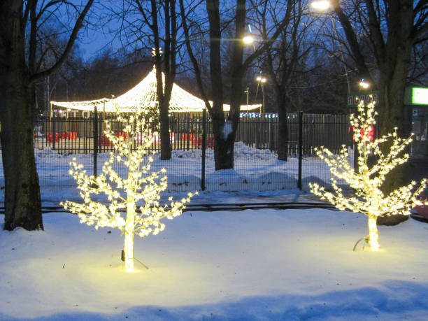 Two illuminated trees glowing in a snowy park with a carousel in the background, surrounded by a fence and evening lights, evoking a cozy winter scene. Moscow, Russia, 12.27.2024