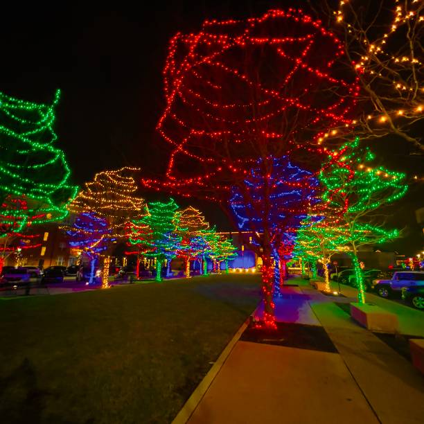 istock Christmas lights on trees in the city. 2191706285