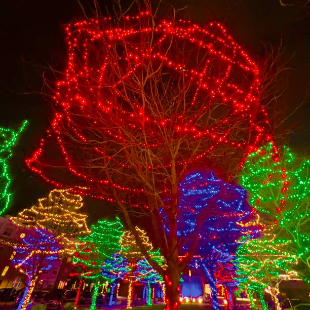 istock Red Christmas lights on tree in city. 2191706286