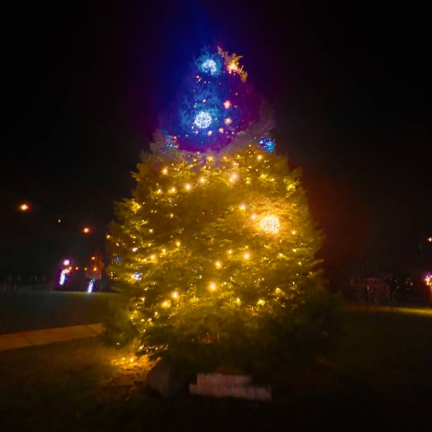 istock Christmas lights on Christmas tree in park. 2191706304