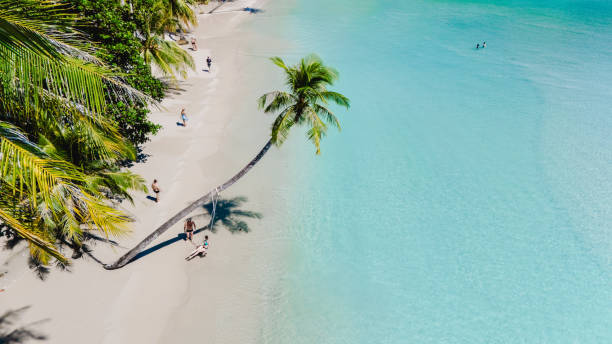 istock Serene beach strolls under palm trees in Koh Kood, Thailand at sunset 2191713140
