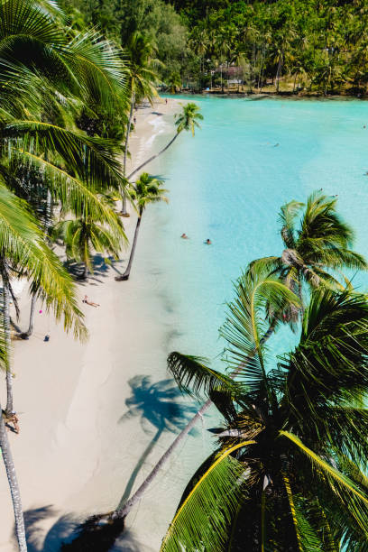 istock Tranquil tropical beach on Koh Kood, Thailand inviting relaxation and adventure 2191713201