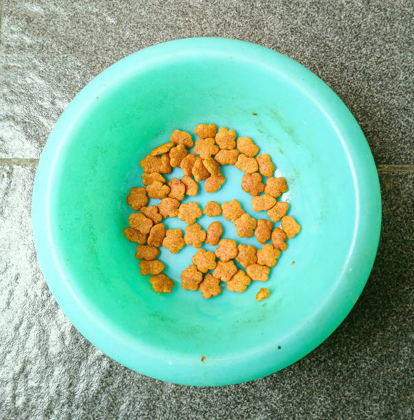 istock unfinished cat food in the container 2191715322