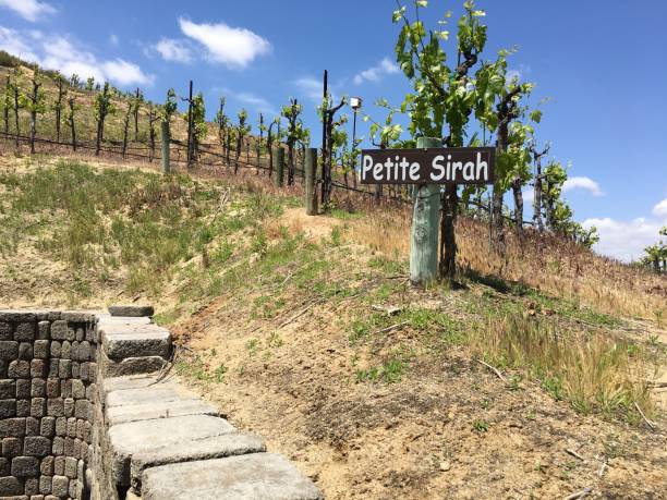istock Petite Sirah Vineyard Sign 2191717553