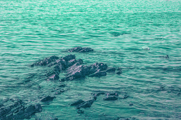 The image shows a body of water with visible rocks partially submerged. The water has a greenish tint and a calm surface, reflecting light in a soft manner. The rocks are dark and irregularly shaped, contrasting with the lighter water.