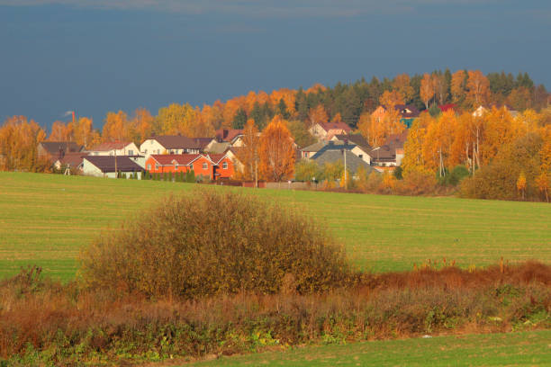 Autumn and yellow, orange deciduous trees outside in village. Landscape, background for design. Nature and lifestyle.