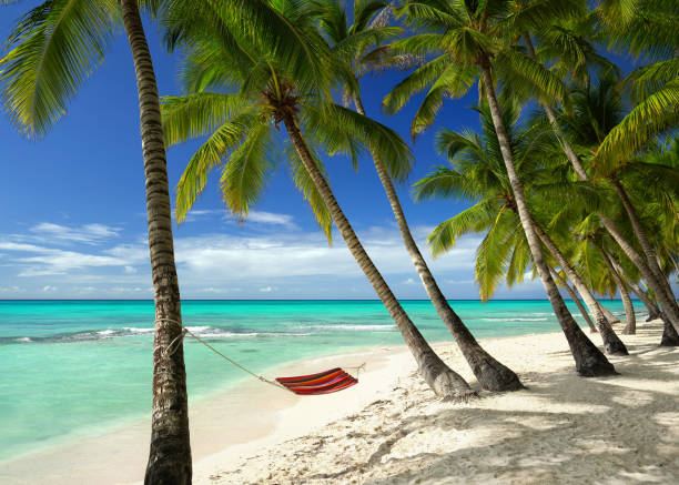 istock Caribbean beach with hammock at palm trees and turquoise sea 2191724088