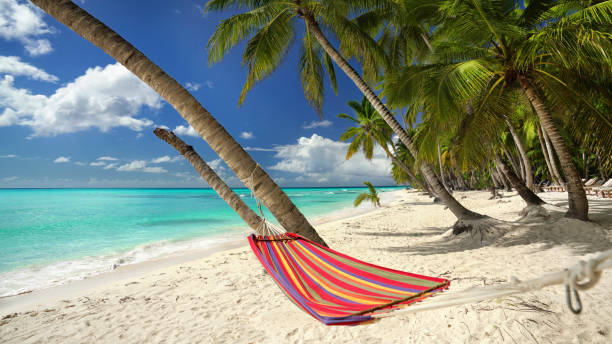 istock relaxing colorful hammock between to green palm trees on the white sand beach 2191724163