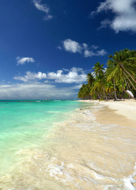 istock tropical white sand beach with coconut trees and turquoise sea with waves 2191724305