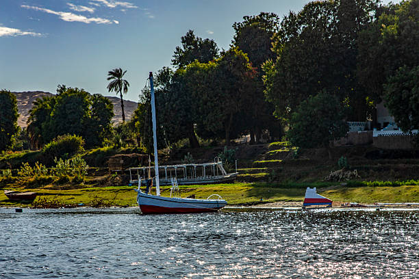 A Nile River felucca at rest, in a serene riverside scene.