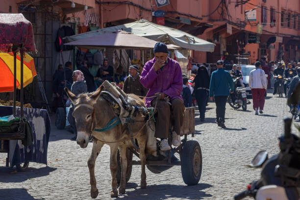 Marrakech, Marocco - February 22, 2024: lively street scene in central Marrakech