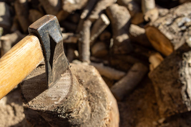 Firewood and a hatchet on the tree log. Eco tourism concept