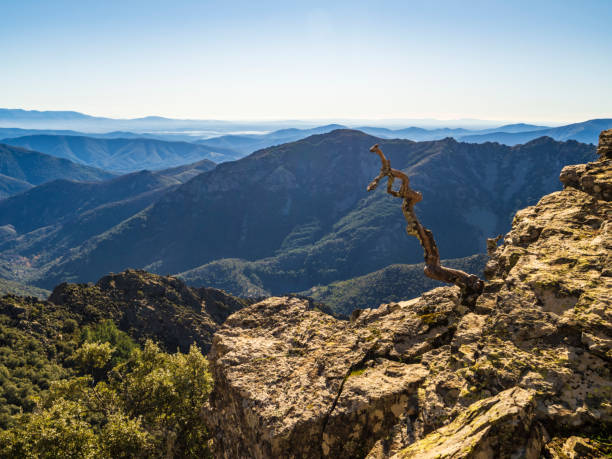 spring view on a cloudy day to the Sierra de Guadarrama mountains near Madrid