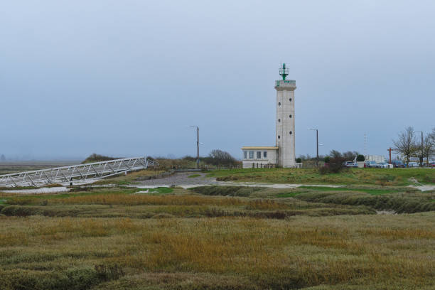 istock Unique lighthouse stands amidst a tranquil coastal landscape with overcast skies and surrounding marshland at dawn 2191729008