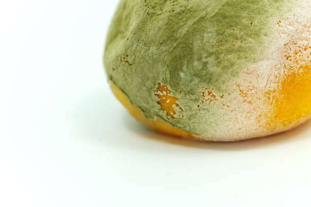 istock Spoiled tangerine with mold on a white background. 2191730125