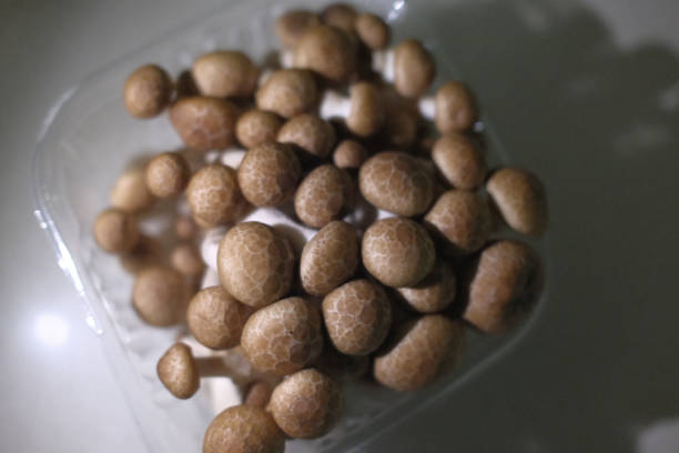 natural forest mushrooms as autumn fruit for cooking