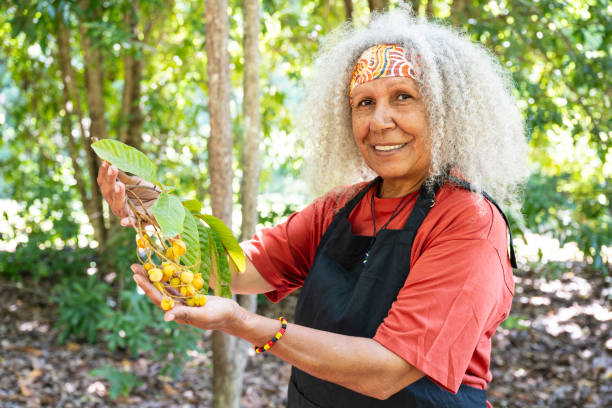 istock Native tamarind, a rainforest tree of eastern Australia 2191731491