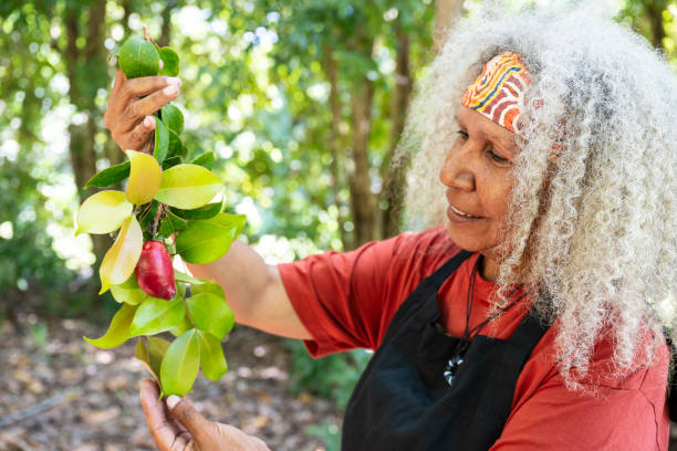 istock Aboriginal farmer admiring rose apple on branchlet 2191731495