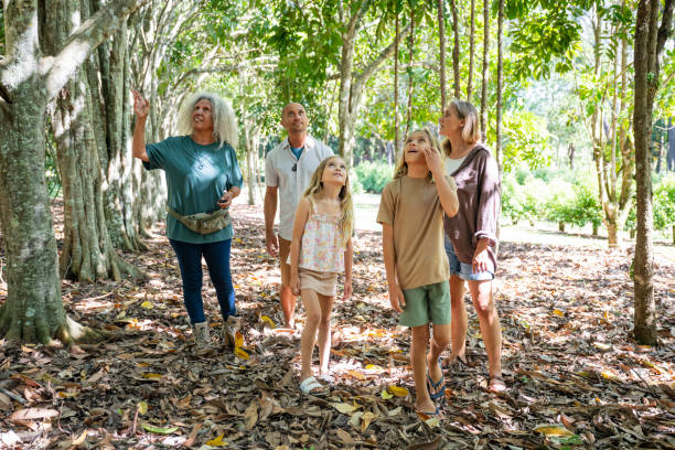 istock Agritourists viewing native fruit trees on bush tucker tour 2191731572
