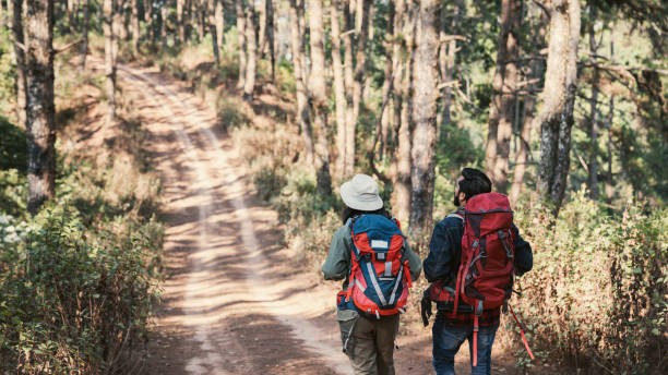 istock Travelers hiking through a forest with backpacks, exploring the wilderness and taking in the sights of nature as they walk. 2191732302