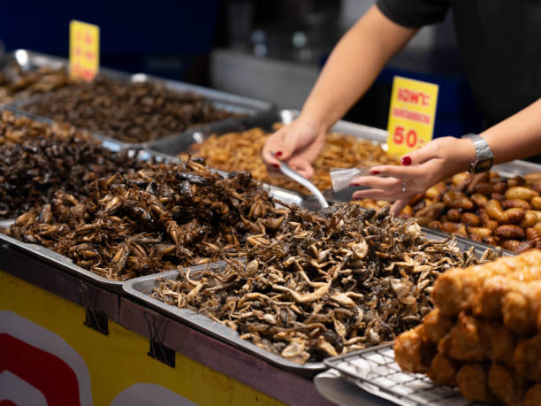 istock Crispy fried crickets with pandan leaves on a tray on a stall with various insects. Fried insects at a Thai street food market. 2191732592