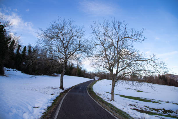 Snowy hillside road in Tuscan-Emilian Apennines, peaceful winter scene, captivating nature photography opportunity