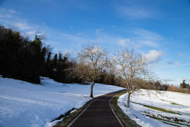 Snowy hillside road in Tuscan-Emilian Apennines, peaceful winter scene, captivating nature photography opportunity