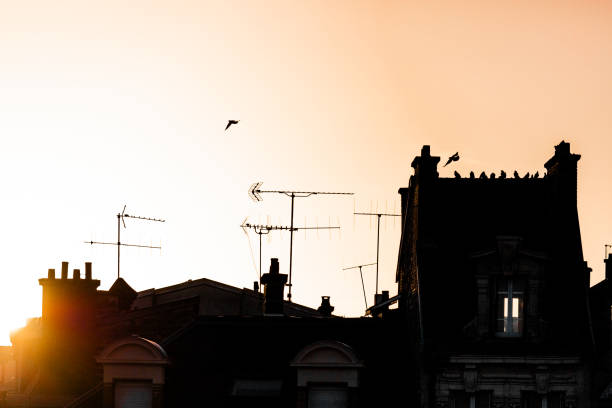 istock View of the roofs 2 2191734539