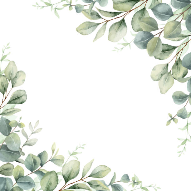 istock Watercolor frame corner border with green eucalyptus leaves and branches. Greenery clipart for wedding invitation, greeting cards, save the date, stationery design.  Hand drawn illustration. 2191734869