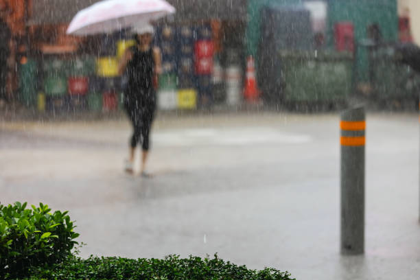 istock Tropic storm and heavy rain. 2191736230