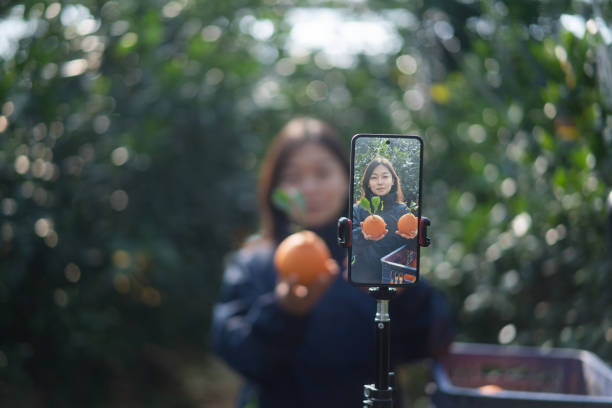 istock The farmer live-streamed ecommerce selling oranges through live streaming on his mobile phone in the orchard. 2191737107