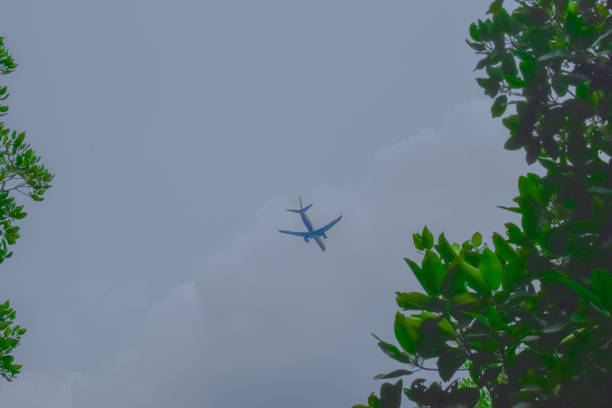 istock Airplane flying in mangrove forest 2191737630
