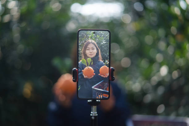 istock The farmer live-streamed ecommerce selling oranges through live streaming on his mobile phone in the orchard. 2191737809