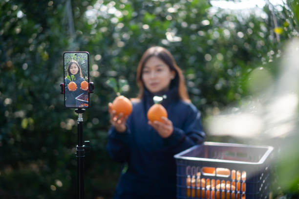 istock The farmer live-streamed ecommerce selling oranges through live streaming on his mobile phone in the orchard. 2191737998