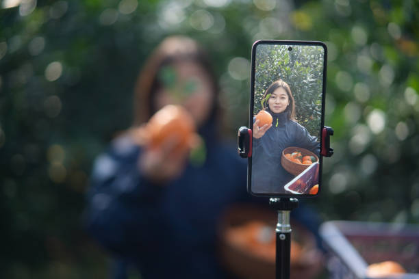 The farmer live-streamed ecommerce selling oranges through live streaming on his mobile phone in the orchard.