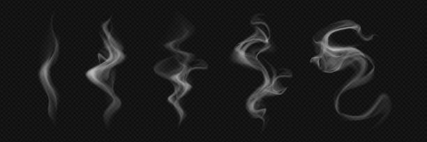 stockillustraties, clipart, cartoons en iconen met white realistic smoke elements - uitlaatgas