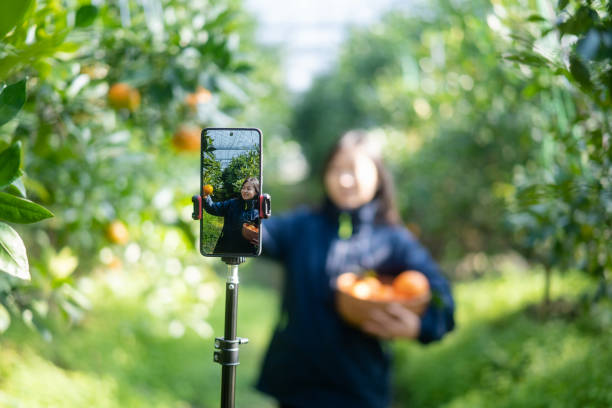 istock The farmer live-streamed ecommerce selling oranges through live streaming on his mobile phone in the orchard. 2191742413